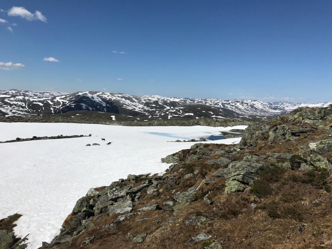 Voss Mountain Lodge Mjolfjell 외부 사진